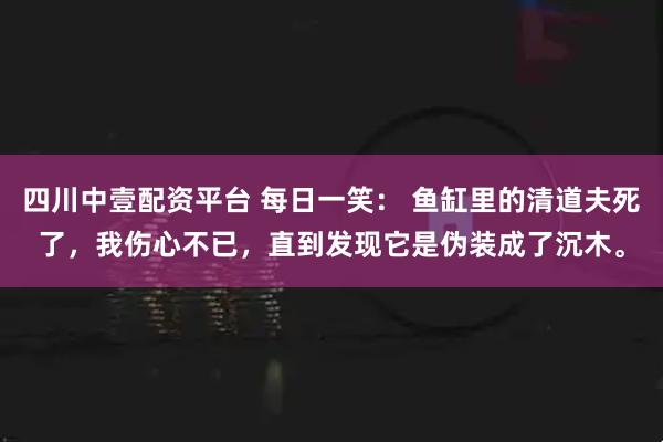 四川中壹配资平台 每日一笑: 鱼缸里的清道夫死了,我伤心不已,直到发现它是伪装成了沉木。