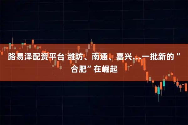 路易泽配资平台 潍坊、南通、嘉兴…一批新的“合肥”在崛起